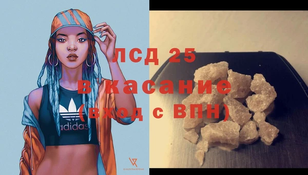 PSILOCYBIN Михайлов