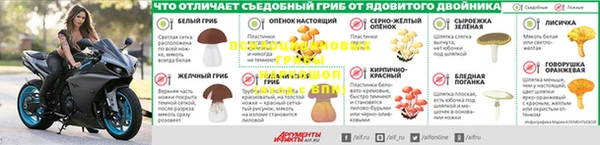 альфа пвп Медвежьегорск