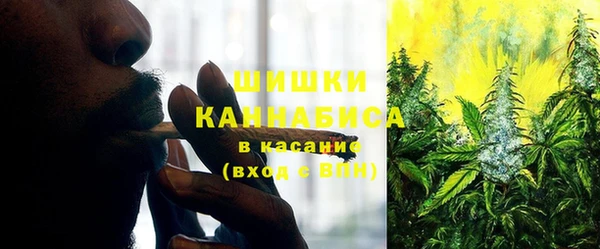 герыч Мегион