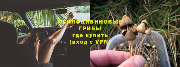 герыч Мегион