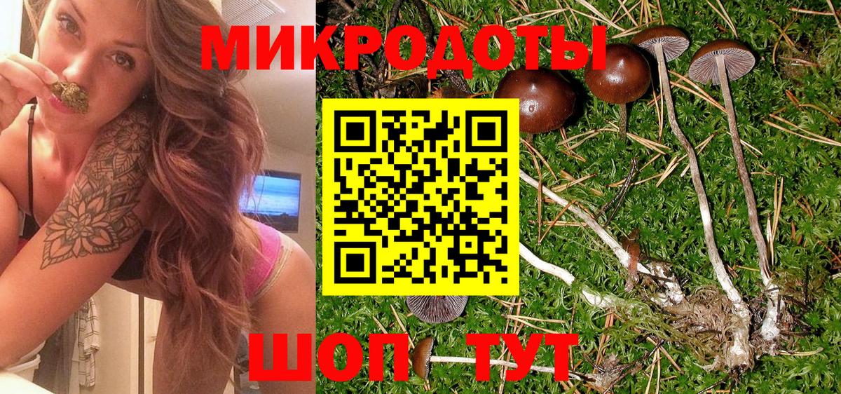 Галлюциногенные грибы прущие грибы Коммунар