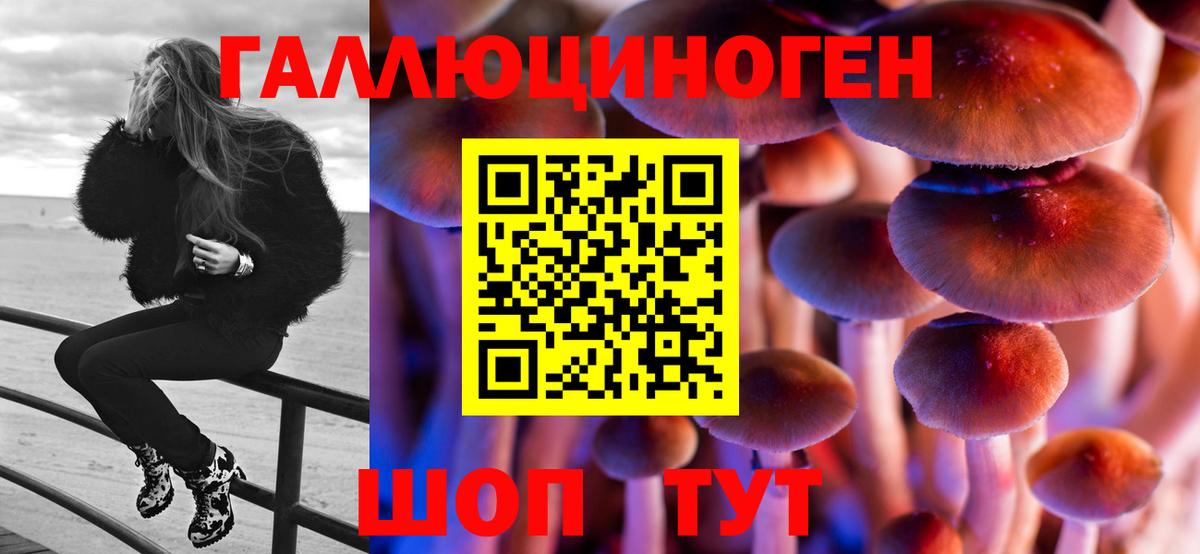 купить   Коммунар  Галлюциногенные грибы Psilocybine cubensis 